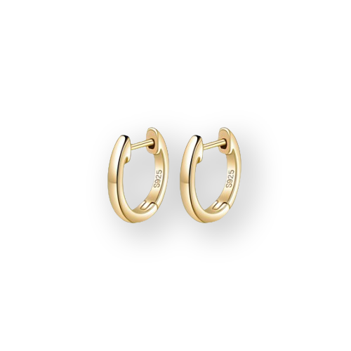 Gold Plated Sterling Silver Hoop Earrings