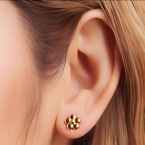 Gold Plated Sterling Silver Daisey Shaped Stud Earrings Model